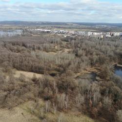 Vávrovské rybníky (foto: Miroslav Kučera)