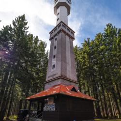 Jihočeský kraj hlásí maximální dovolenkovou připravenost.