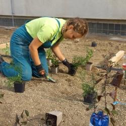Soutěž zahradníků vyhrála SOŠ veterinární, mechanizační a zahradnická z Českých Budějovic.