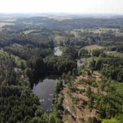 Slavonické rybníky  (foto: KÚ JčK, Odbor OZZL).