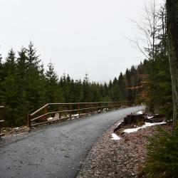 Vltavská cyklostezka v úseku Loučovice-Vyšší Brod.