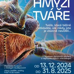Nenechte si ujít unikátní výstavu detailních snímků hlav hmyzu, které nafotili vědci z Biologického centra Akademie věd ČR pomocí nejmodernějších elektronových a optických mikroskopů v České republice. 