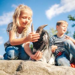 Zážitek je stále oblíbenější volbou vánočního dárku. O letošních Vánocích ho můžete darovat svým blízkým, a to v regionu, který vás chytne za srdce.