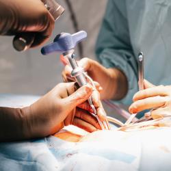 Neurochirurgické oddělení Nemocnice České Budějovice, a.s. získalo statut centra vysoce specializované péče ve spondylochirurgii. 
