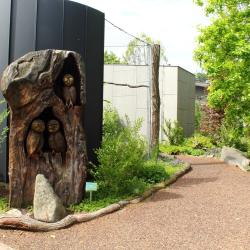 Expozice sov v Zoo Hluboká je výjimečná svým architektonickým řešením i přístupem k chovu sov. 
