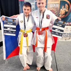 Dva světové šampionáty, 16 medailí a jedno obrovské srdce. Tak by se dal shrnout mimořádný úspěch oddílu tradičního karate DAMAI DI HATI z Českých Budějovic, jehož mladí sportovci reprezentovali Českou republiku na mistrovství světa v Berlíně a v polských Pulawách.