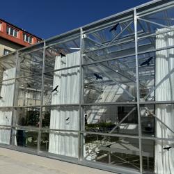 Střední škola rybářská a vodohospodářská Jakuba Krčína v Třeboni dokončila a zprovoznila unikátní aquaponický skleník, který kombinuje chov ryb a pěstování rostlin s využitím moderních, udržitelných technologií.