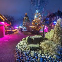 Advent patří v jižních Čechách mezi nejkrásnější období roku. Ulice i náměstí se rozsvěcují světýlky, vůně punče a perníčků láká do centra měst a sváteční atmosféra dýchá z každého koutu.