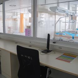 Nemocnice České Budějovice, a.s. uvedla ve čtvrtek 19. února slavnostně do provozu nově zrekonstruovanou jednotku intenzivní péče (JIP) Neurologického oddělení. Modernizace významně posiluje postavení nemocnice jako předního evropského centra pro léčbu cévní mozkové příhody i dalších závažných neurologických onemocnění.