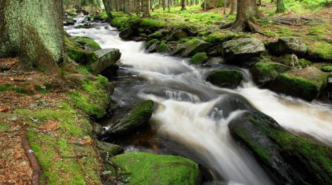 Šumava (zdroj: JCCR)