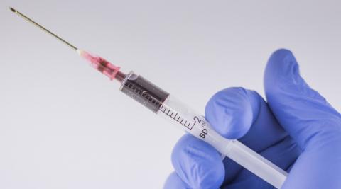 Ilustrační obrázek (Zdroj: www.pixabay.com)