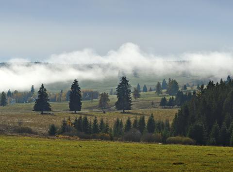 Šumava.