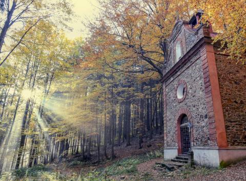 Podzimní Šumava (Foto: Kateřina Přibylová)
