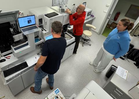 Instalace hematologické linky.