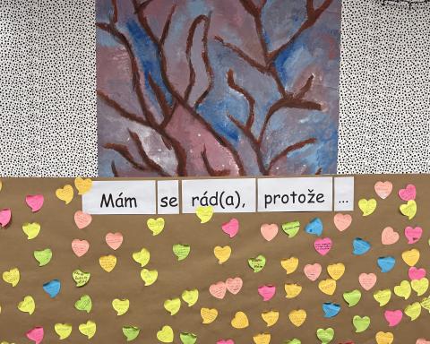 Jihočeský kraj hledá cesty k podpoře duševního zdraví na školách.