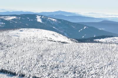Národní park Šumava, únor 2019.