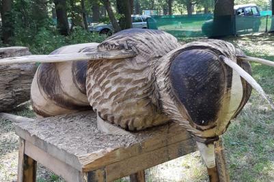 „Obři z trávy 2018'' - foto Zoo Hluboká
