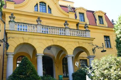DDM České Budějovice vyhlašuje 25. ročník ankety Talent Jihočeského kraje 2025.